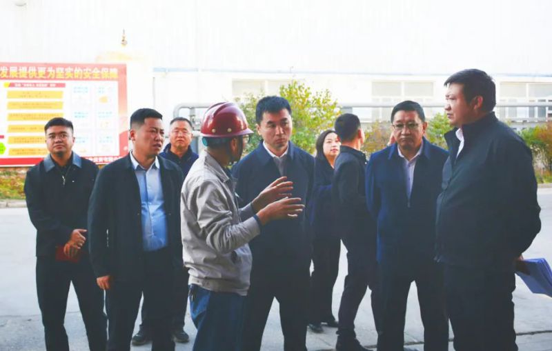 大通縣委副書記、縣長馬明旭一行蒞臨工投公司調(diào)研指導(dǎo)